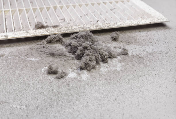 Best Best Air Duct Cleaning Company  in Rocky Top, TN