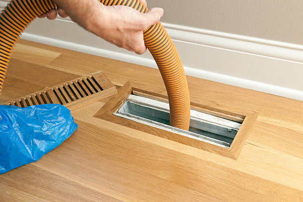 Best Professional Duct Cleaning Services  in Rocky Top, TN